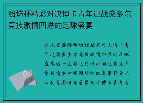 潍坊杯精彩对决博卡青年迎战桑多尔竞技激情四溢的足球盛宴